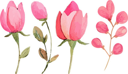 pink tulips pattern