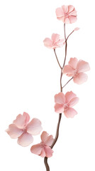 PNG Pastel pink aesthetic with flower drawing blossom petal plant.