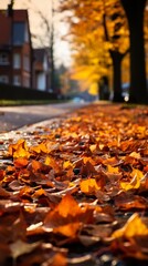 low angle view on fall autumn leaves in European styled old streets pathway  