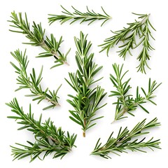 Fototapeta premium Rosemary isolated on white background. Top view. Flat lay.