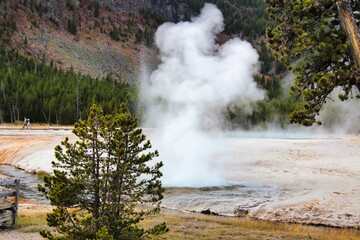Cliff Geyser in Black Sand Basin in Upper Geyser Basin, Yellowstone National Park Wyoming.