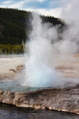 Cliff Geyser Erupting in the Upper Geyser Basin in Yellowstone National Park Wyoming.
