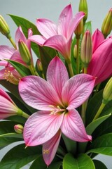 Obraz premium Floral arrangement with pink flowers and green leaves, bouquet, nature photography, plants