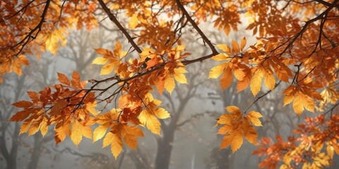Fototapeta premium Softly glowing autumn leaves on a tree branch , autumnal, leafy branches