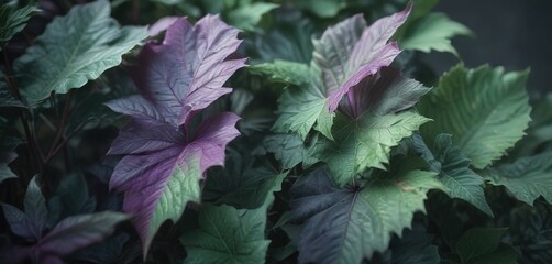 Soft focus purple and green leaf textures with subtle blending effects , soft focus, impressionist