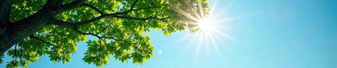 Fototapeta premium A tree's branches stretch up towards a clear blue sky with a bright sun shining through, casting dappled shadows on the ground, leaf, illumination, greenery
