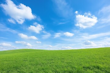 Large expanse of vibrant green grass slopes gently upward to clear bright blue sky dotted with fluffy white clouds. Natural landscape scene evokes tranquility, beauty. Perfect for illustrating nature