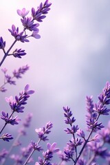 Obraz premium Muted lavender mist background with scattered, delicate purple flowers, lavender mist, floral arrangement