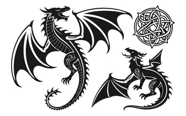 Intricate black dragon illustrations with detailed wings and scales, accompanied by a Celtic knot design. Perfect for fantasy-themed projects, tattoos, or mythical art collections.