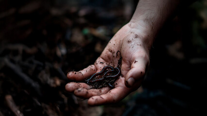 Person holding a worm. Hands worms dark background female palm black. Female worms in a black palm. The photo is of a person holding a worm lifestyle.