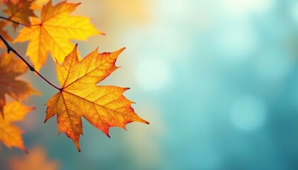 Softly fading golden leaves on a pale blue background, soft focus, autumn leaves
