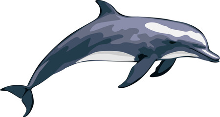 Flat two blue dolphins in a jump. Cute dolphins jumping on a white. Vector flat or cartoon illustration isolated on white.