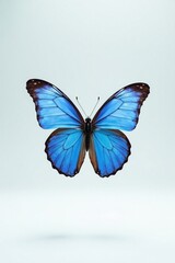 Obraz premium lone blue butterfly suspended in mid-air over a white background, air, movement
