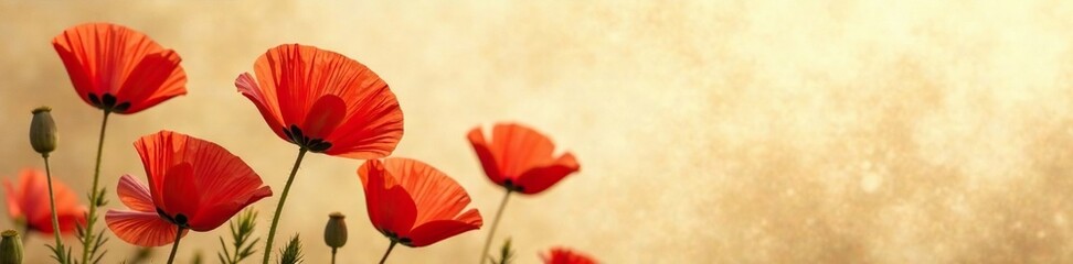Obraz premium Red poppies in full bloom against a warm beige background with a subtle texture of earthy soil, earthy tone, bloom