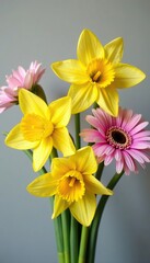 Obraz premium Fresh bouquet of daffodils and gerbera daisies, bright bouquet, garden fresh flowers