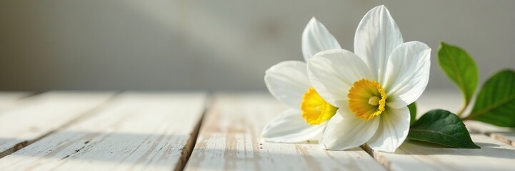 Fototapeta premium White orcinth flower on a neutral colored wooden table, elegance, flowers, plant