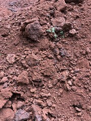 Close-up photo of soil texture taken in Kerala's Malappuram district, showcasing natural earthy tones and fine details. Perfect for environmental, agricultural, and nature-related projects.