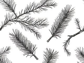 set of feathers
