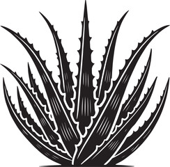 Aloe vera plant silhouette isolated on white background simple aloe vera icon shape