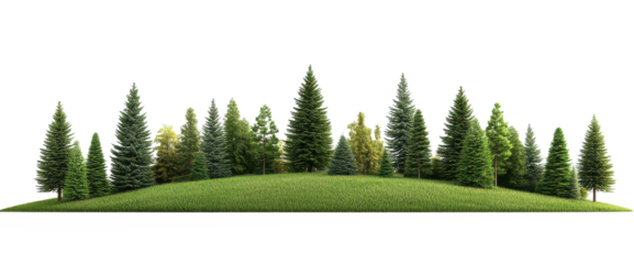 A row of trees with a green grassy hill in the background on transparent background