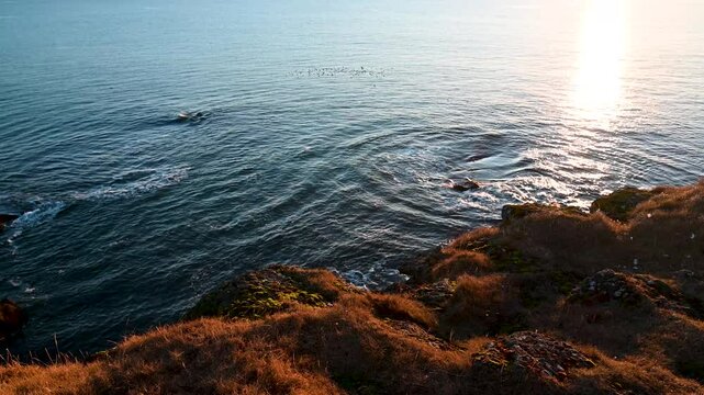 Drone aerial landscape winter view of the ocean with sunrise scene on Arnarstapi, Iceland