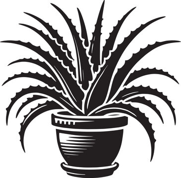 black aloe vera plant in pot clip art preview