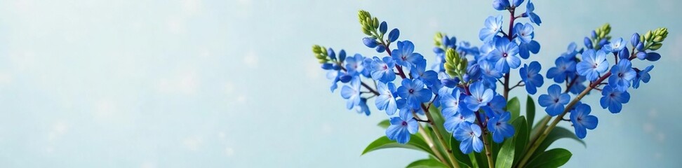 Fototapeta premium Blue chicory stems with leaves and flowers in a vase, arranged artfully for a floral arrangement, flower, arrangement