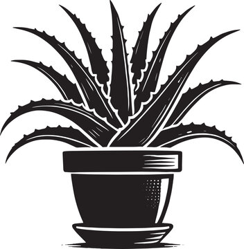 black aloe vera plant in pot clip art preview