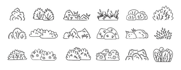 Bushes doodle hand drawn line icon set. Bushes clipart outline