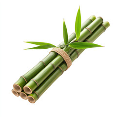 Fototapeta premium Bamboo stalks tied together with fresh leaves, symbolizing nature's beauty and resilience.
