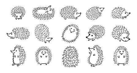 Doodle hand drawn cute hedgehog set. Hand drawn adorable hedgehog collection. Outline drawing for children. © Yanka