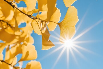 Obraz premium 青空に映えるイチョウの葉とまぶしい太陽の光の美しい瞬間