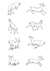 Vintage engrave isolated deer set illustration ink sketch. Wild doe stag background reindeer vector art
