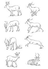 Vintage engrave isolated deer set illustration ink sketch. Wild doe stag background reindeer vector art
