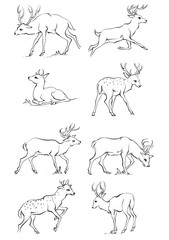 Vintage engrave isolated deer set illustration ink sketch. Wild doe stag background reindeer vector art
