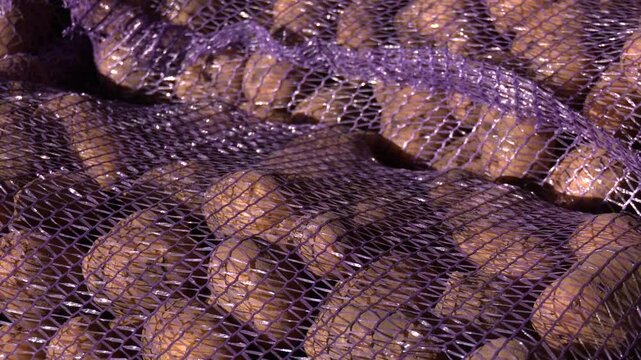 Blue mesh bags with potatoes are stacked on top of each other. Close-up of potato tubers lying in a blue mesh bag. A sack of raw and dirty potatoes at the farmers' market.
