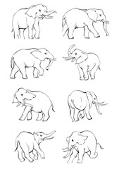 Elephant sketch hand drawn in doodle style Vector illustration Wild animals
