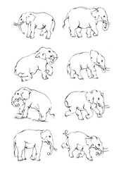 Elephant sketch hand drawn in doodle style Vector illustration Wild animals
