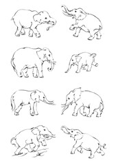Elephant sketch hand drawn in doodle style Vector illustration Wild animals
