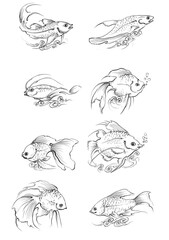 set of hand drawn fish