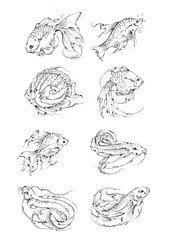 set of hand drawn fish