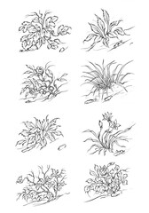 Black silhouettes of grass, flowers and herbs isolated on white background. Hand drawn sketch flowers and insects.