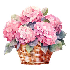 Pink Hydrangea Flowers in a Wicker Basket. Floral Illustration, Spring, Summer, Romantic, Decorative