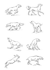 Doodle Cartoon dog illustration set in different poses. Cute sitting, running and lying vector dog isolated on white background