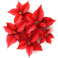 Vibrant red poinsettia flowers arranged elegantly for holiday decor.