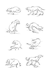 Doodle Cartoon dog illustration set in different poses. Cute sitting, running and lying vector dog isolated on white background