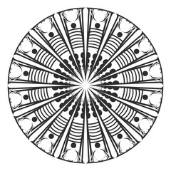 Floral ornaments illustration design vectors