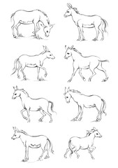 Horse, a colouring book for kids, easy to colour, vector illustration, Vector, Annimals