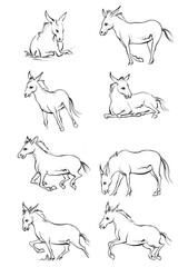 Horse, a colouring book for kids, easy to colour, vector illustration, Vector, Annimals