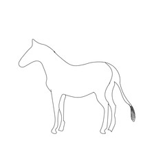 A HORSE LINE ART DESIGN